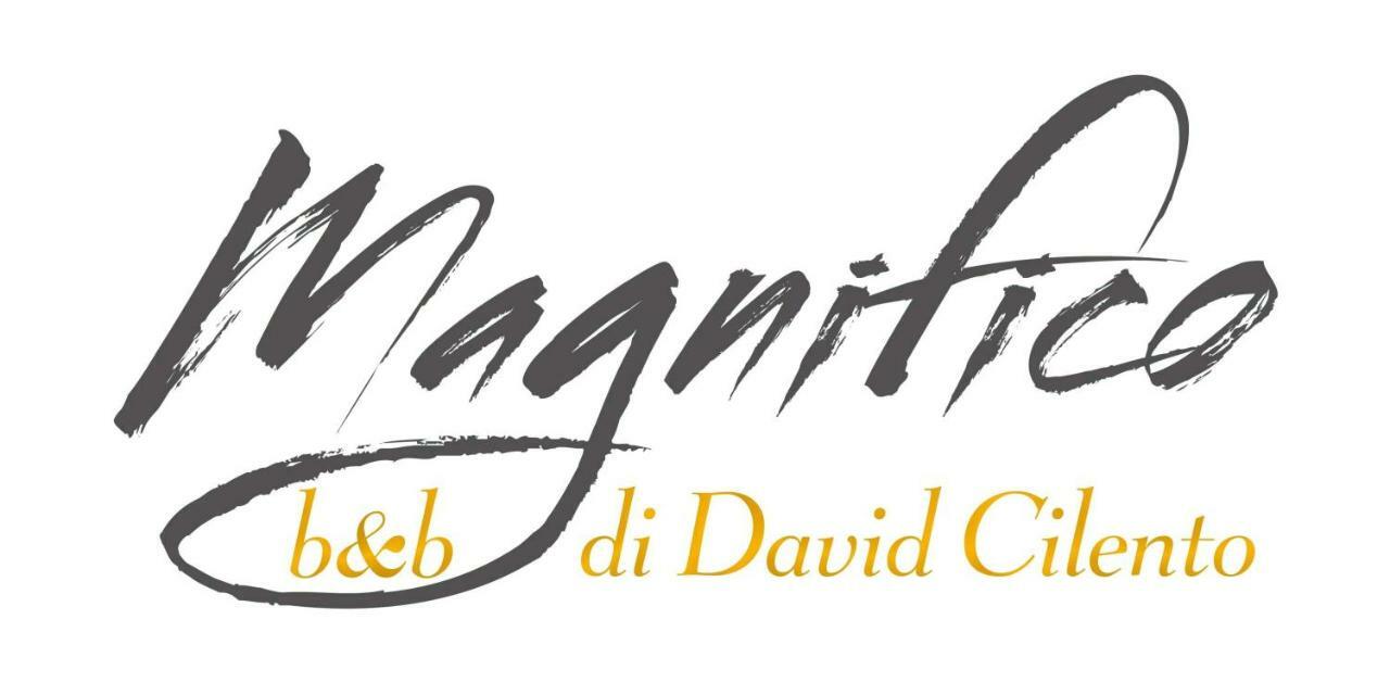 سورينتو Magnifico B&B المظهر الخارجي الصورة